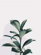 Load image into Gallery viewer, AZQSD DIY Painting By Number Plant Leaf Landscape Paint Canvas Picture Oil Painting Coloring By Numbers Hand Painted Modern