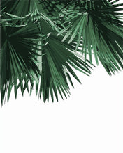 Load image into Gallery viewer, AZQSD DIY Painting By Number Plant Leaf Landscape Paint Canvas Picture Oil Painting Coloring By Numbers Hand Painted Modern