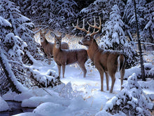 Load image into Gallery viewer, AZQSD Animals Oil Painting By Numbers For Adults Paints By Number Canvas Painting Kits 50x40cm DIY Gift Home Decor