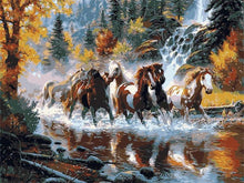 Load image into Gallery viewer, AZQSD Animals Oil Painting By Numbers For Adults Paints By Number Canvas Painting Kits 50x40cm DIY Gift Home Decor
